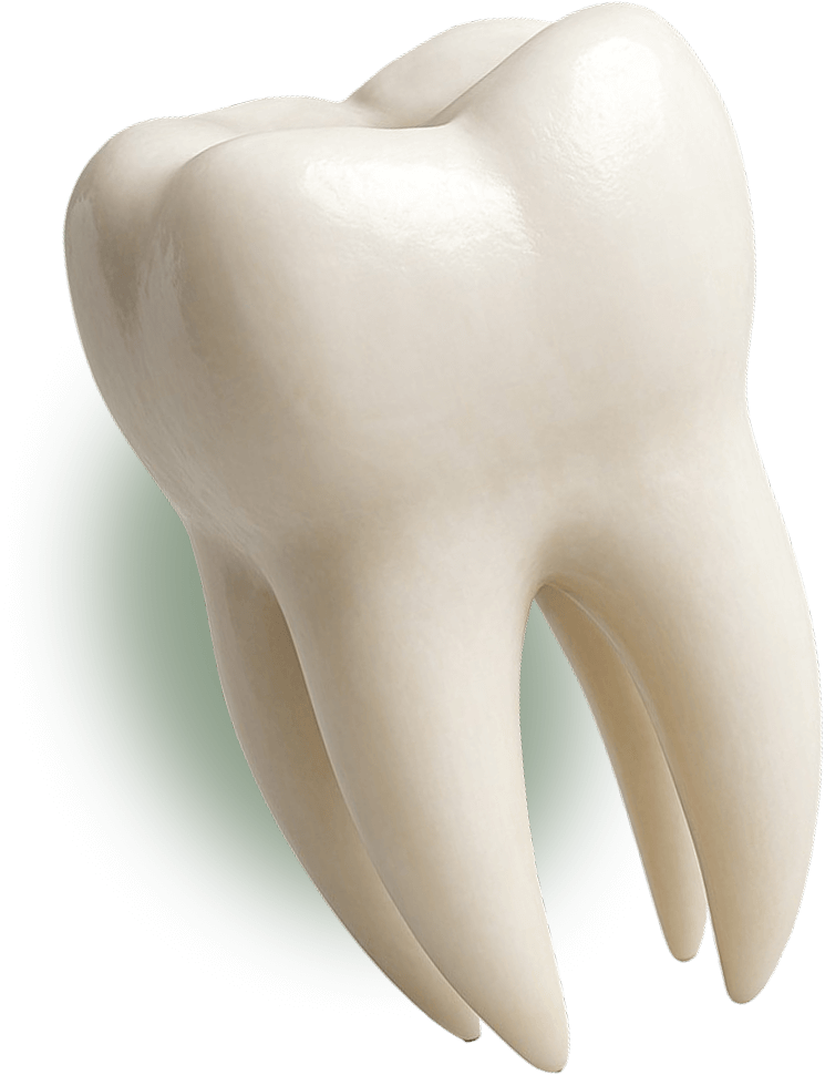 TOOTH IMG