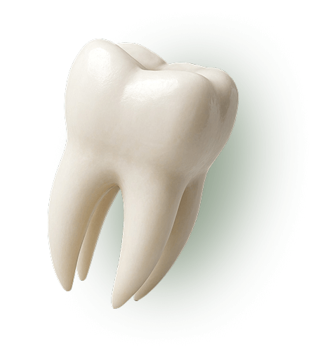TOOTH IMG