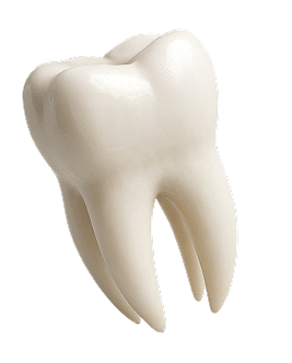 TOOTH IMG