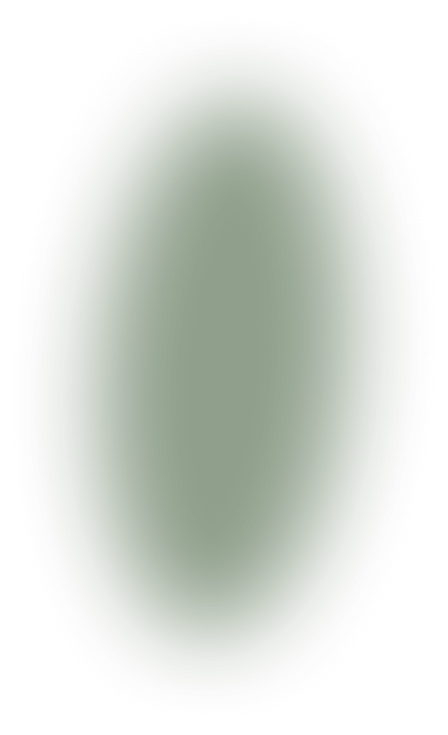 Shadow
